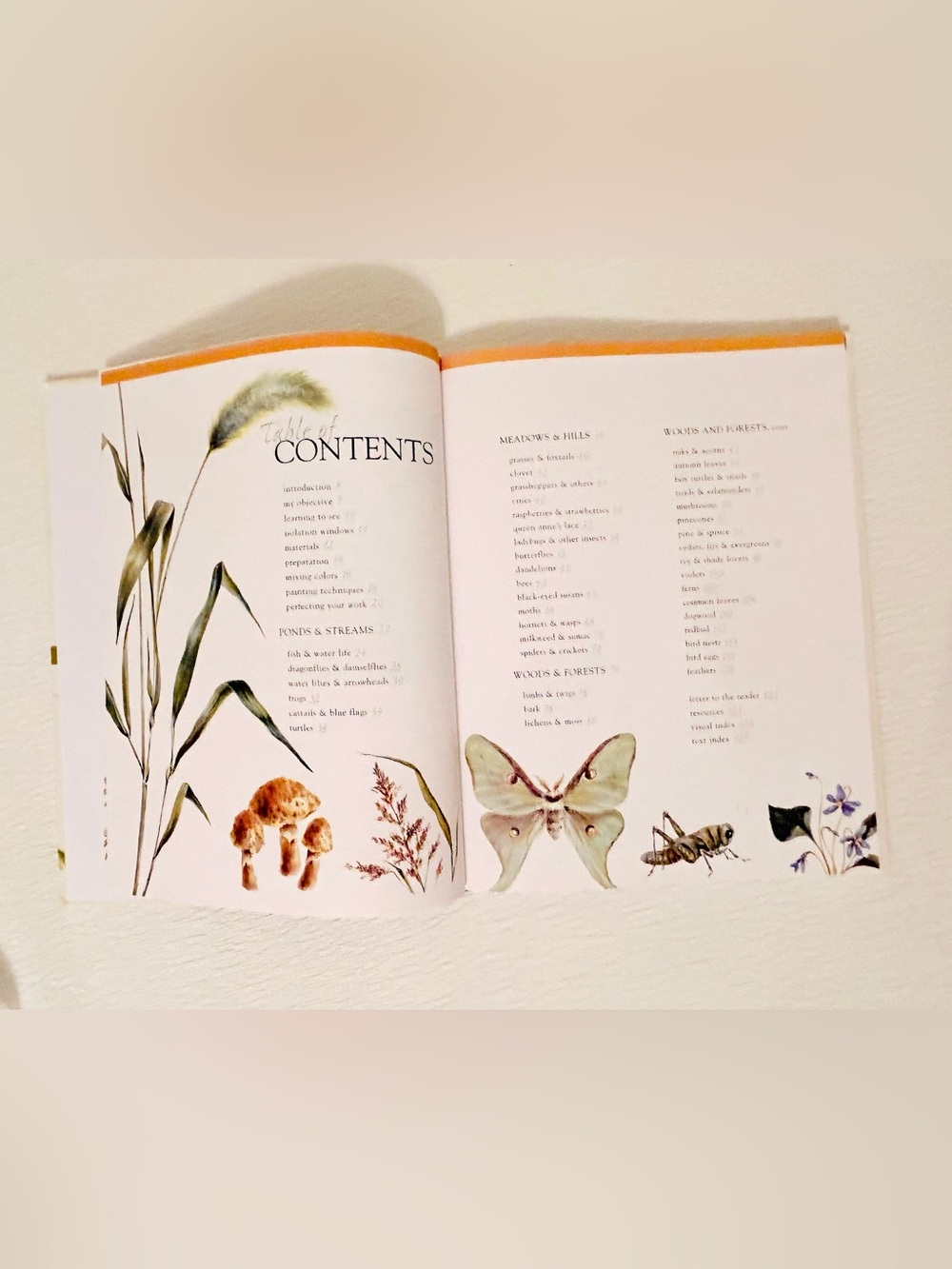 Watercolor Painting Nature by - Peggy Harris Simple Picture Guide. - Picture 4 of 7
